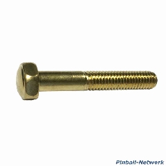 Flipperbeinschraube gold