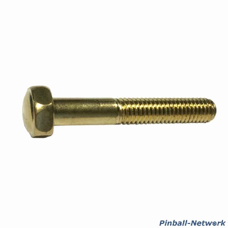 Flipperbeinschraube gold