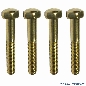 Flipperbeinschraube gold, 4er Set