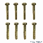 Flipperbeinschraube gold, 8er Set