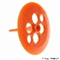 Schlagturmpilz, orange