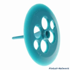 Schlagturmpilz, teal