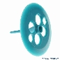 Schlagturmpilz, teal