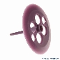 Schlagturmpilz, violett