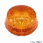 Schlagturmkappe mushroom, orange