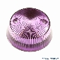 Schlagturmkappe mushroom, violett