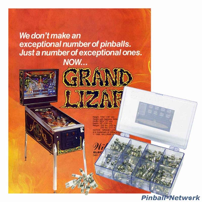 Grand Lizard Sicherungssortiment