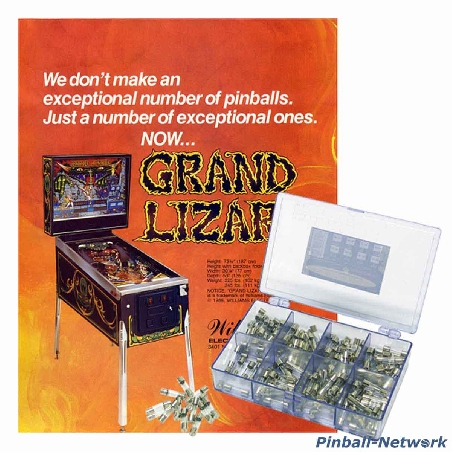 Grand Lizard Sicherungssortiment