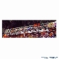 Corvette Race Track Decals
