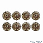 Indiana Jones Williams Custom Target Decals