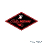 Bally Midway Coin Door Decal