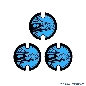 Barracora Bumper Decals