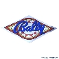 Bally Coin Door Decal