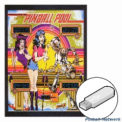 Pinball Pool Instruction Manual