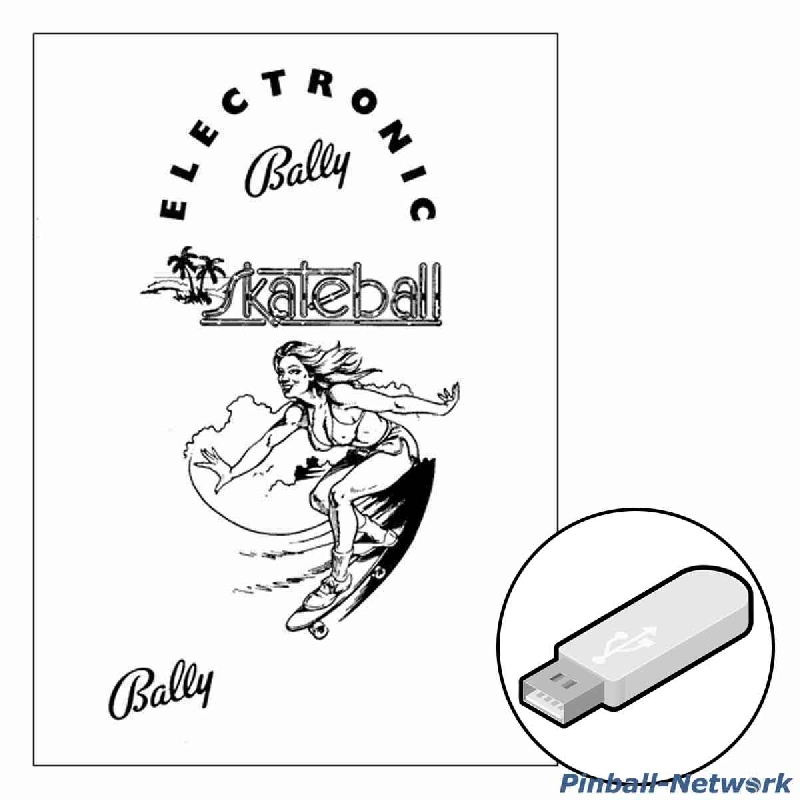 Skateball Handbuch